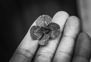 cài game F8bet